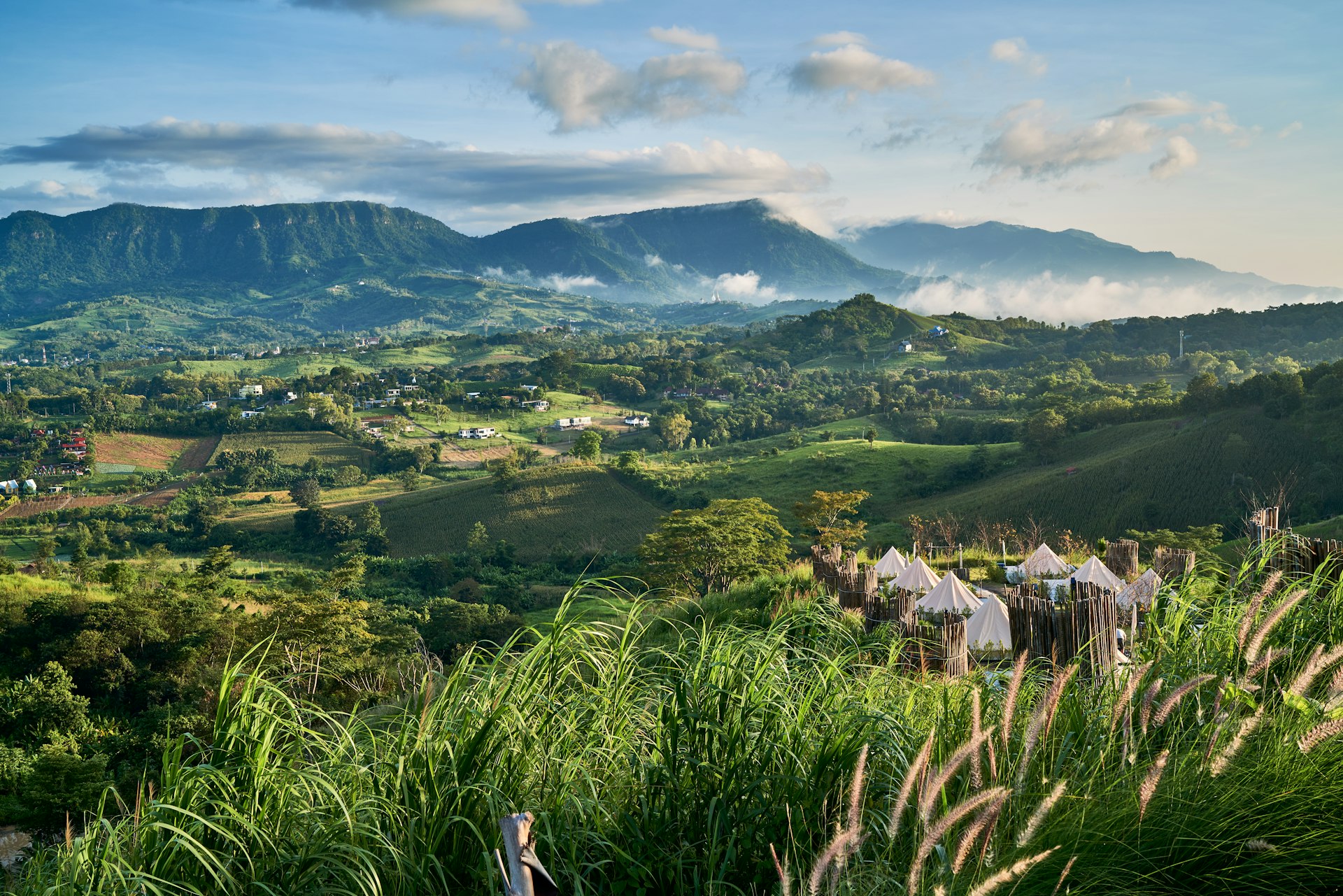 a lush green hillside covered in lots of trees